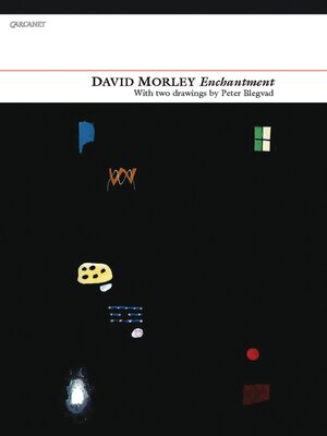 cover image of Enchantment